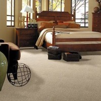 Sale Carpet