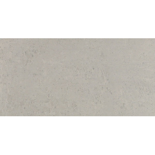 Loriant GRIS POLISHED 12×24 CROPPED