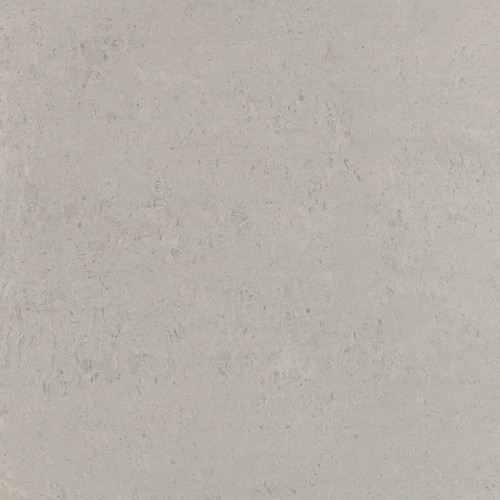 Loriant Gris Polished 24×24