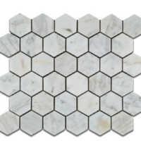 2x2 Honed Ocean White Hexagon